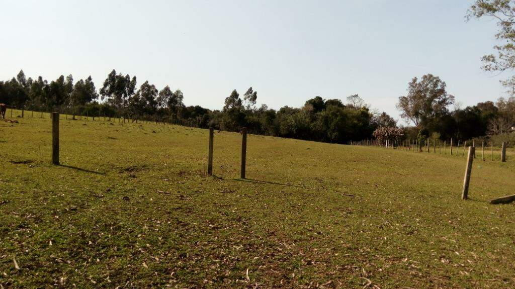 Fazenda à venda com 2 quartos, 100m² - Foto 19