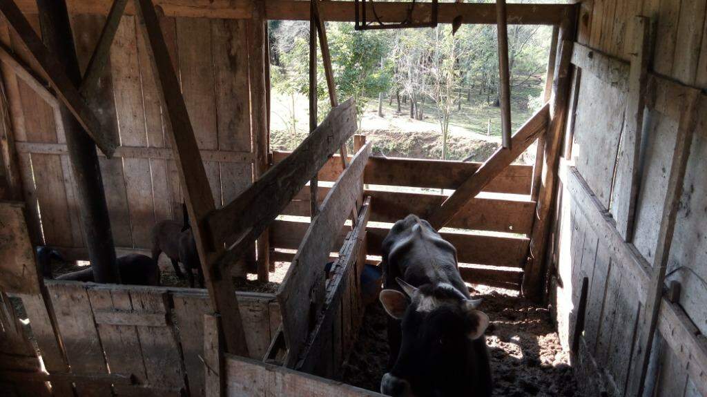 Fazenda à venda com 2 quartos, 100m² - Foto 9