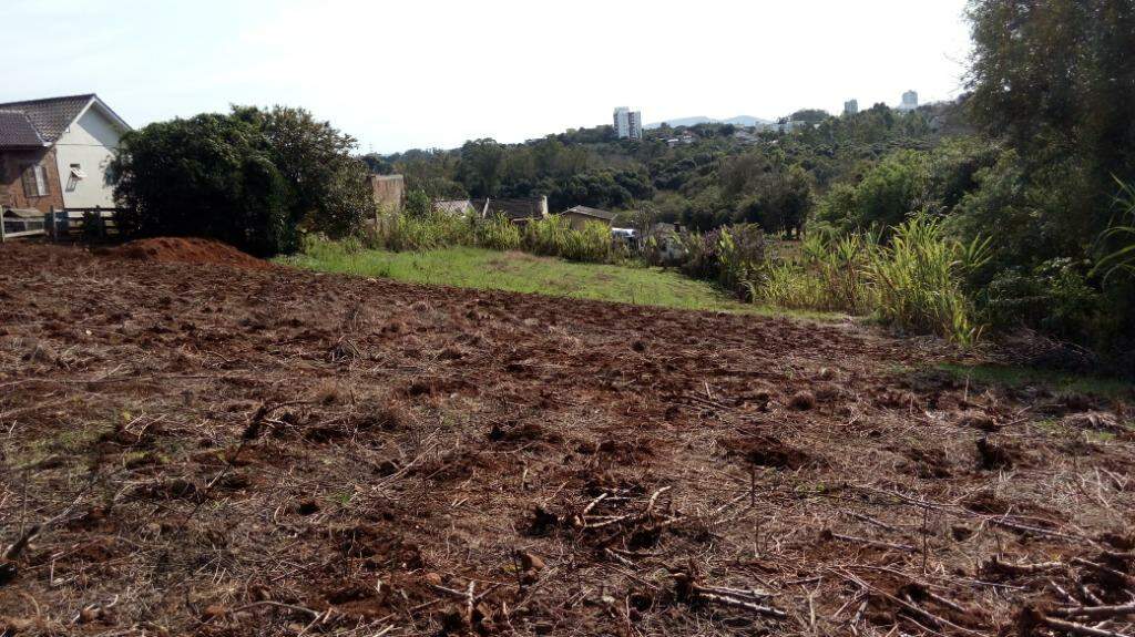 Fazenda à venda com 2 quartos, 100m² - Foto 14