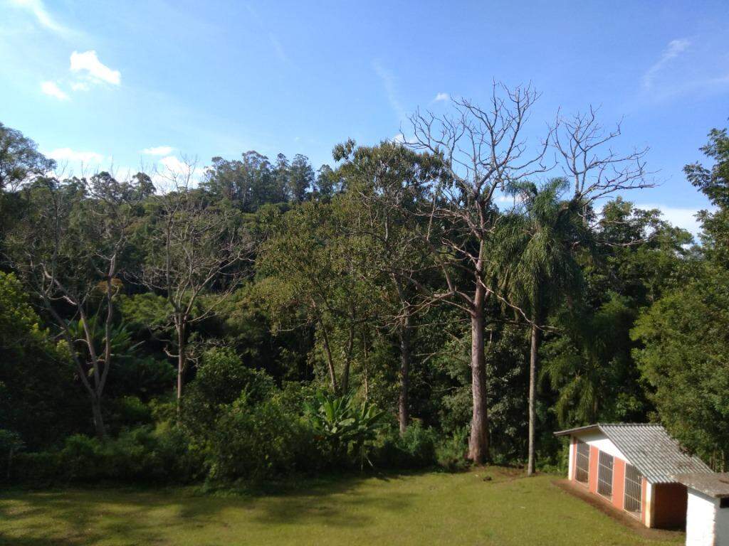 Casa, 3 quartos, 400 m² - Foto 12