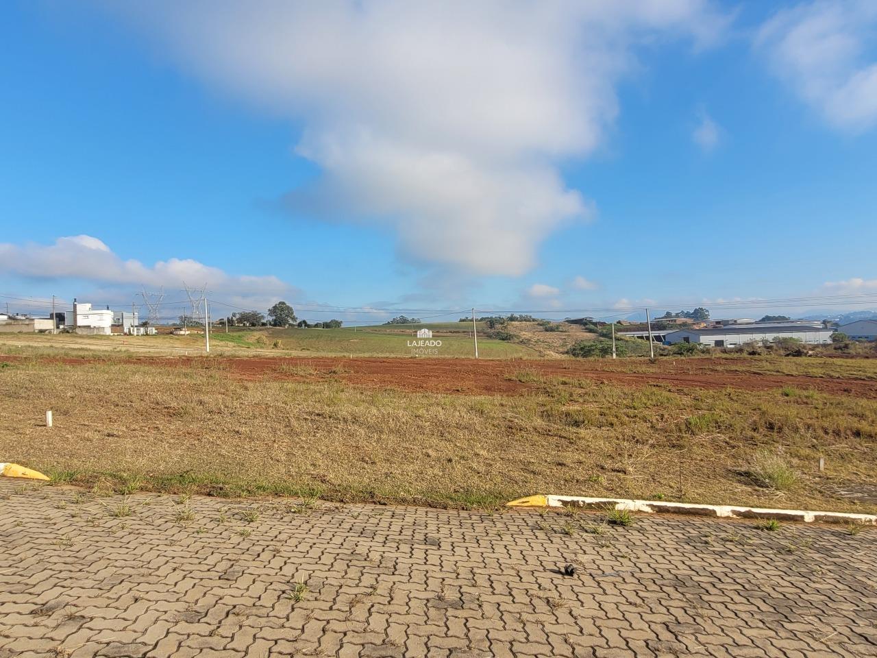 Terreno à venda no Floresta: 