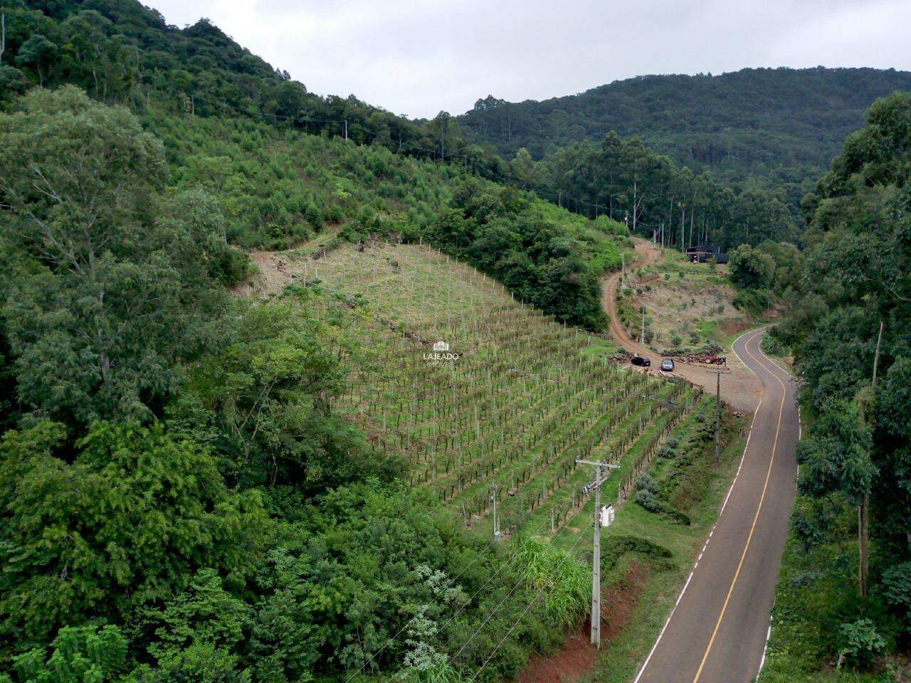 Terreno, 11 hectares - Foto 12