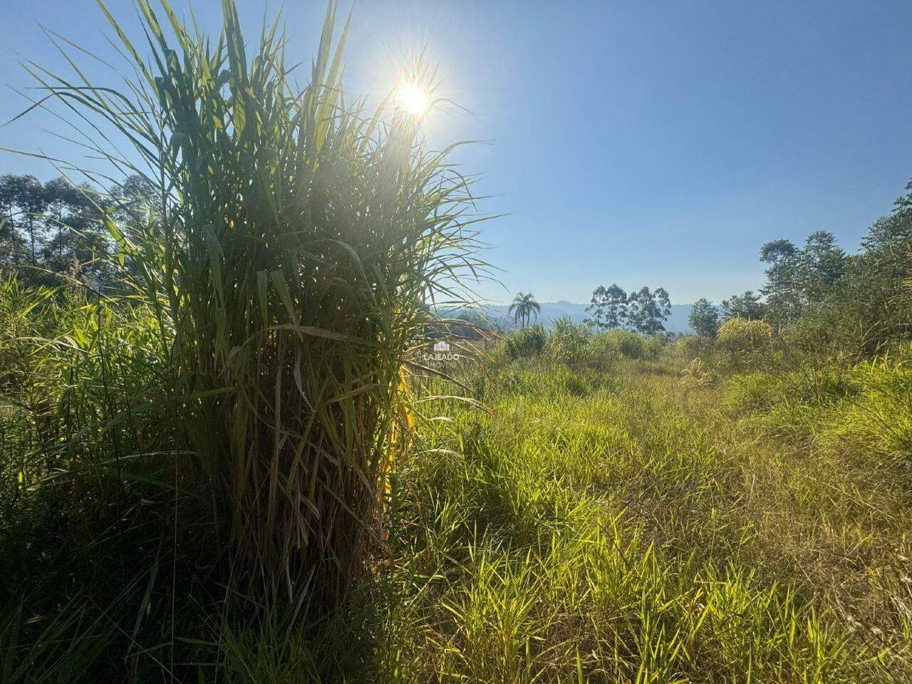 Sítio, 1 hectares - Foto 10