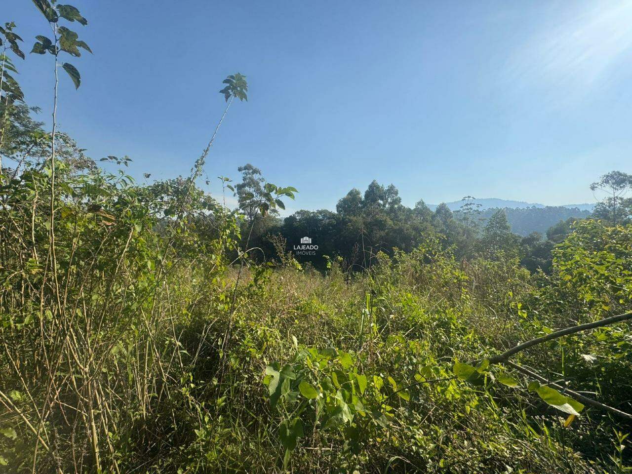 Sítio, 1 hectares - Foto 17