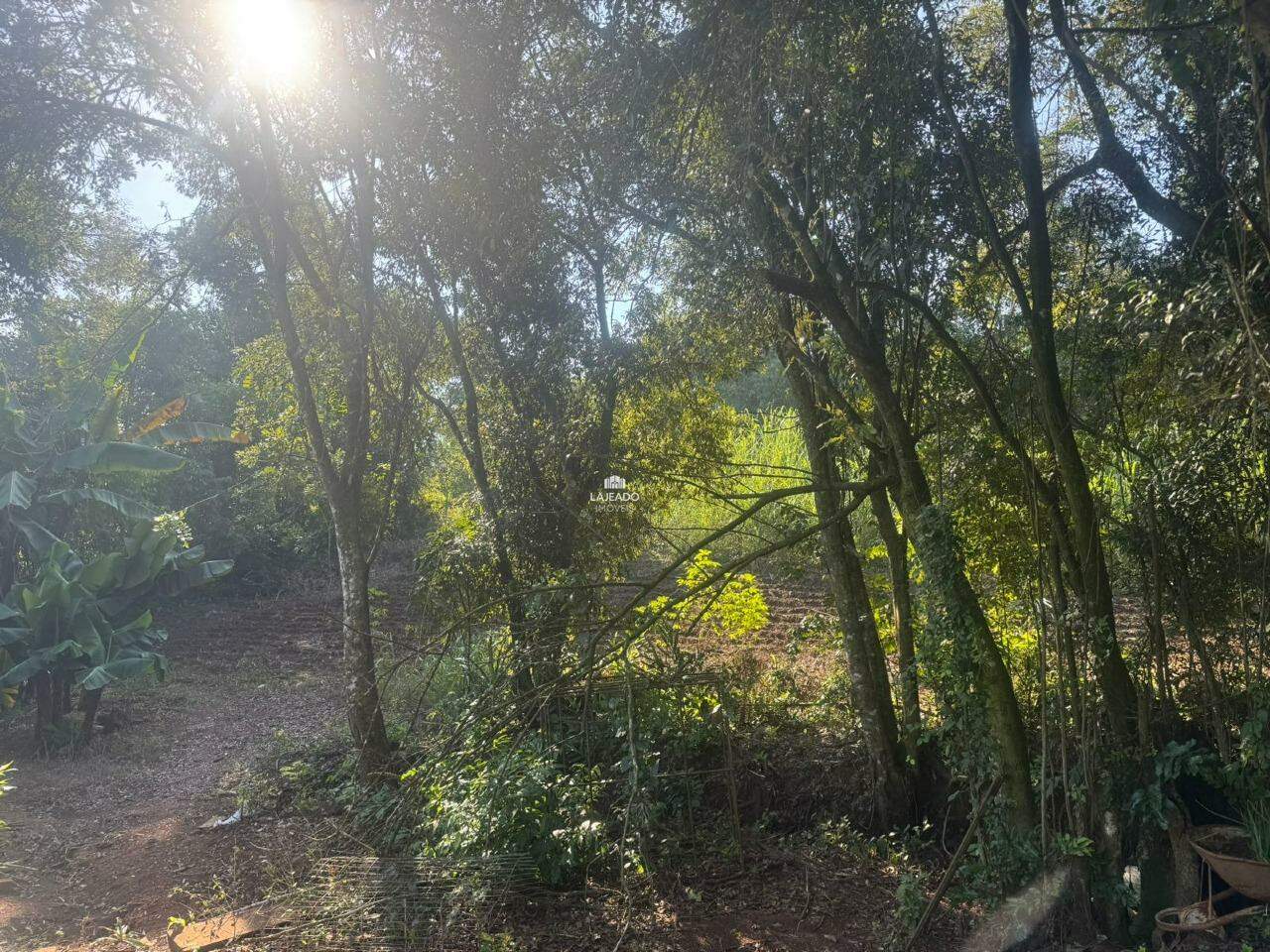 Sítio, 1 hectares - Foto 11