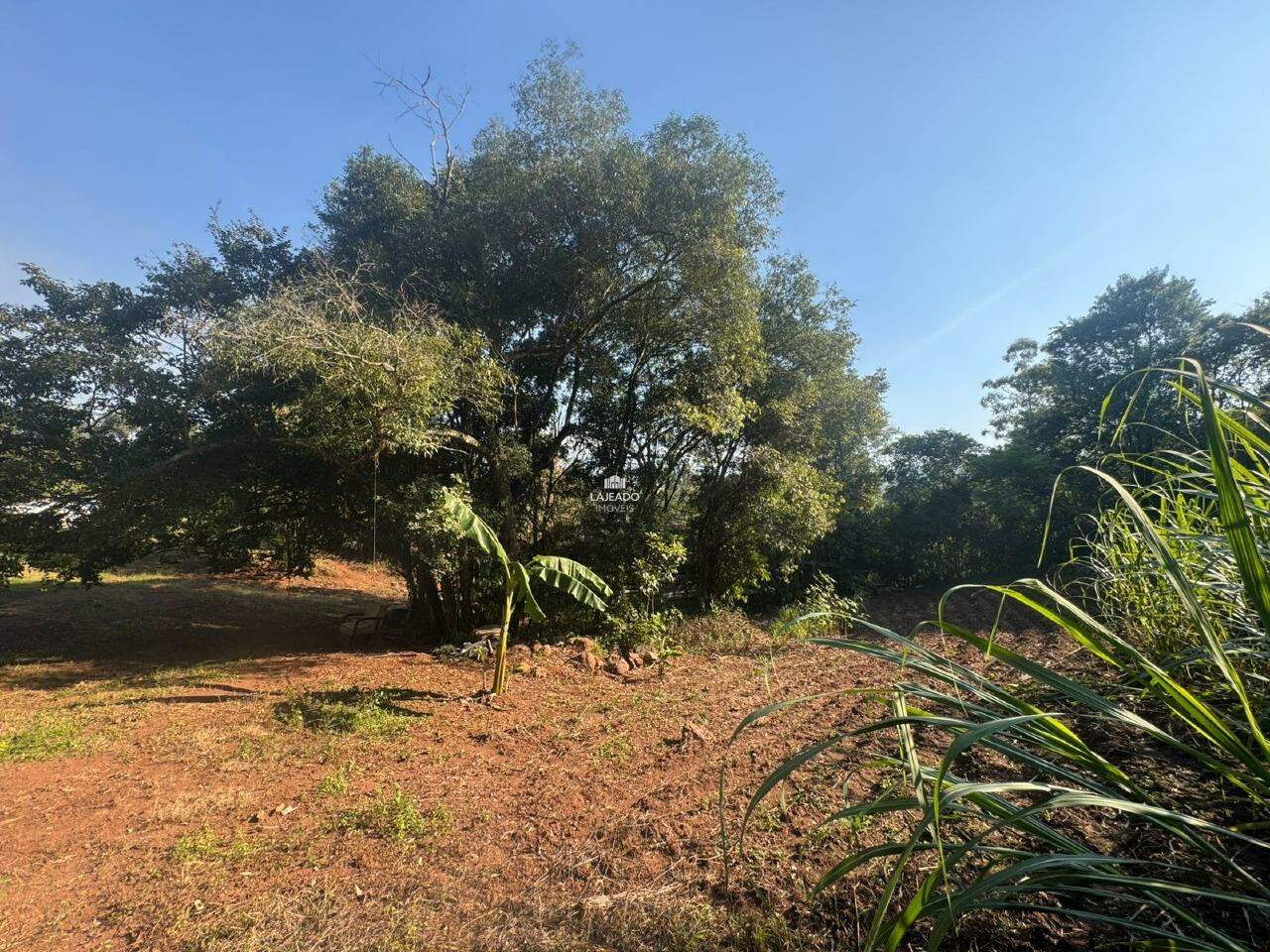 Sítio, 1 hectares - Foto 15