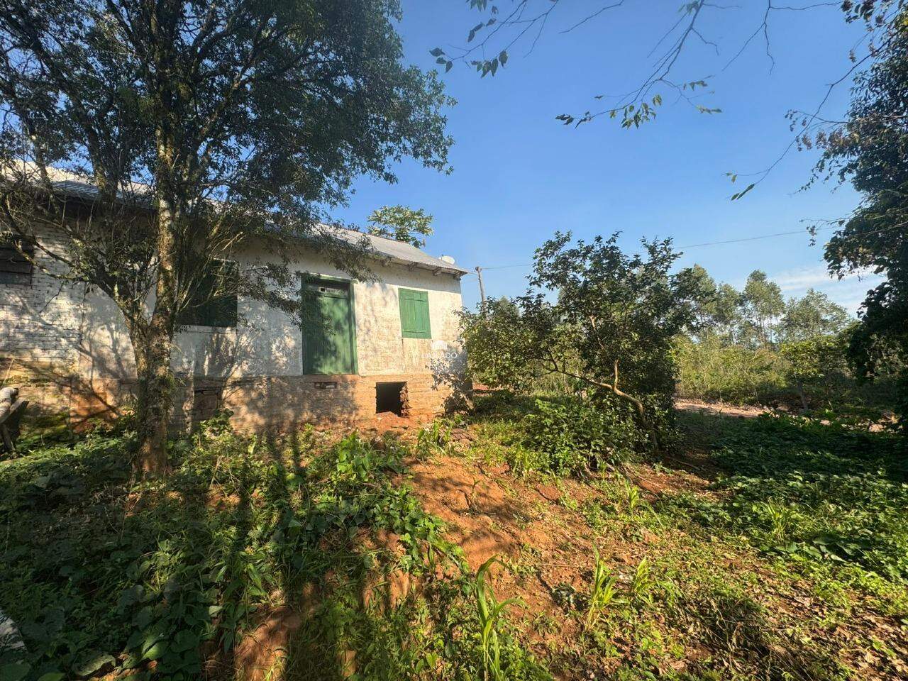 Sítio, 1 hectares - Foto 1