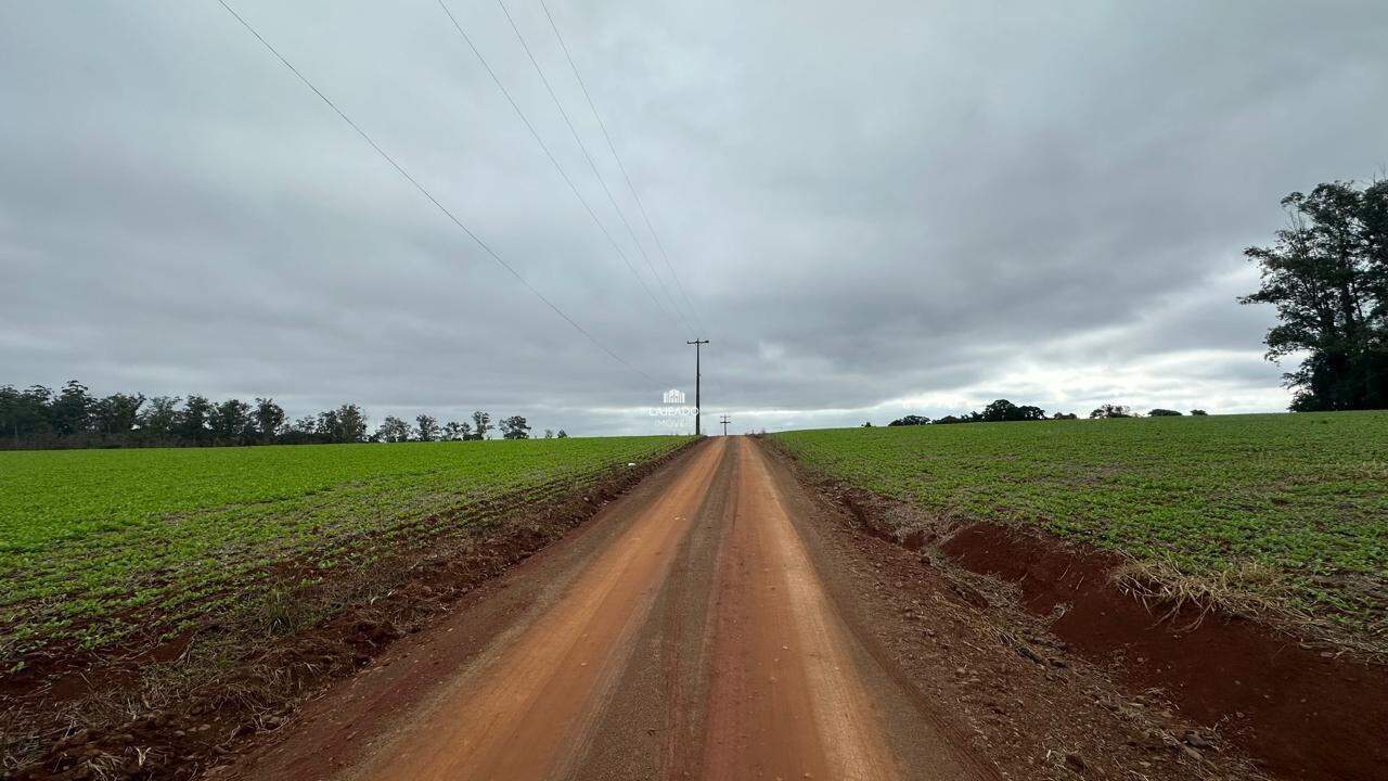 Terreno, 3 hectares - Foto 4