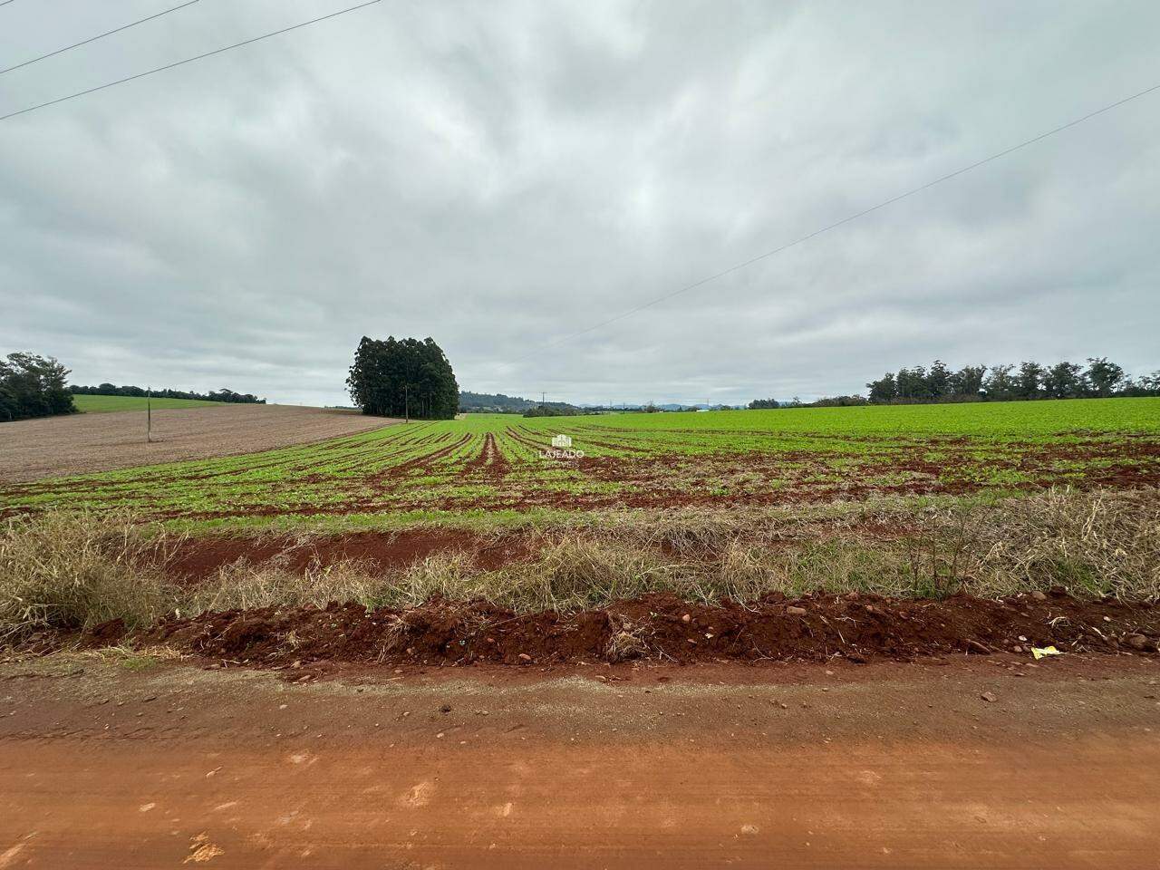 Terreno, 3 hectares - Foto 2