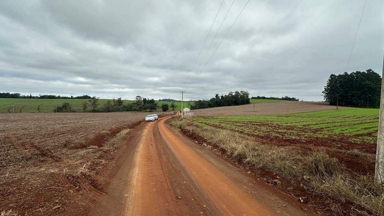 Terreno, 3 hectares - Foto 3
