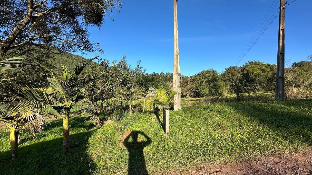 Terreno, 7 hectares - Foto 6