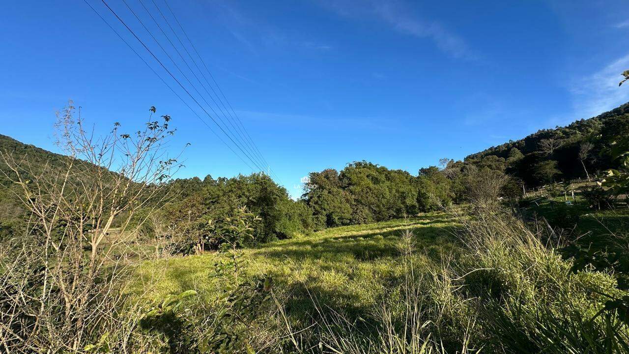 Terreno, 7 hectares - Foto 3
