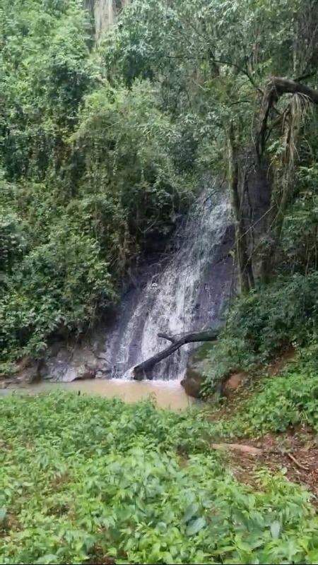 Terreno, 4 hectares - Foto 1