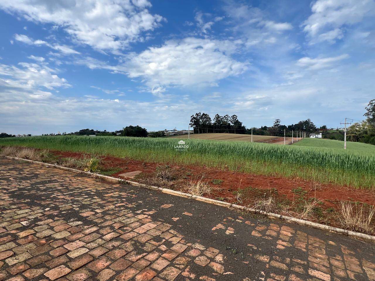 Terreno à venda no Floresta: