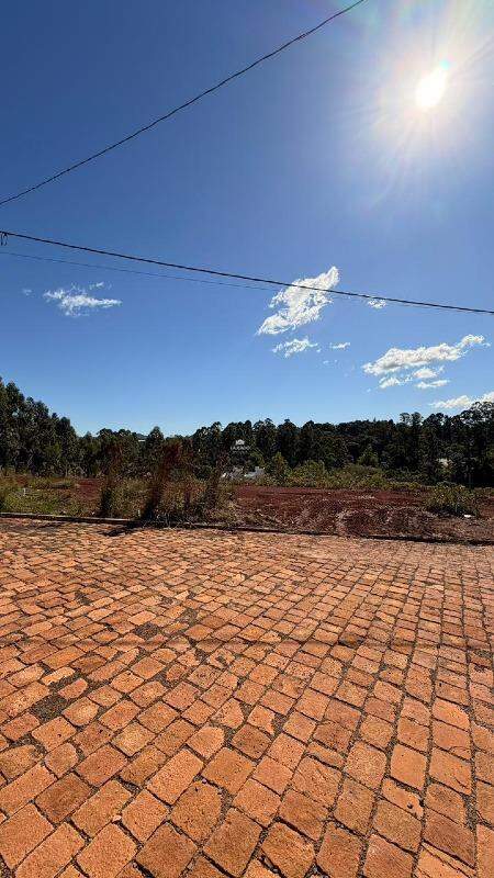 Terreno, 376 m² - Foto 3