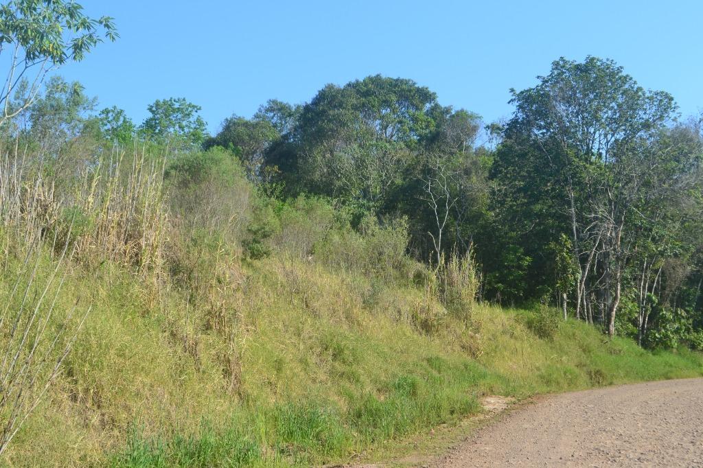 Terreno, 1 hectares - Foto 2