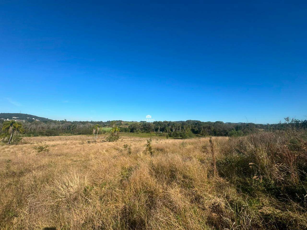 Terreno, 4600 m² - Foto 3