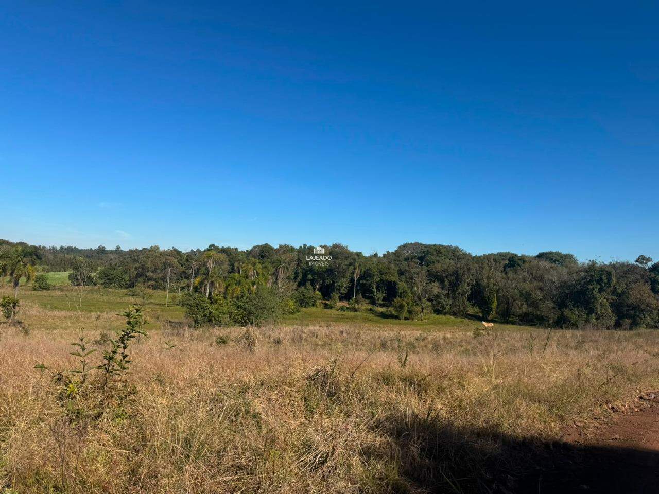 Terreno, 4600 m² - Foto 5