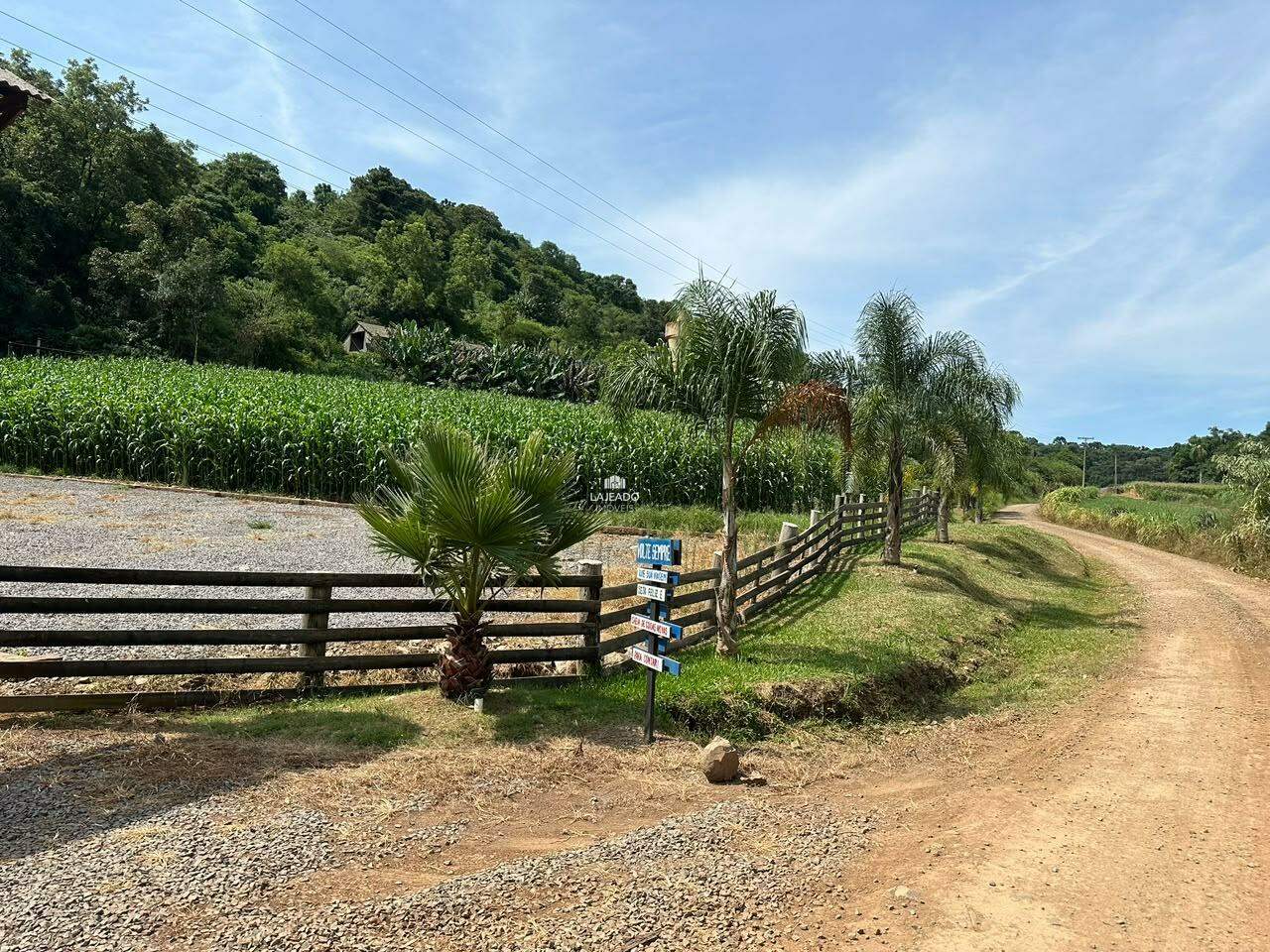 Sítio, 1 quarto - Foto 4