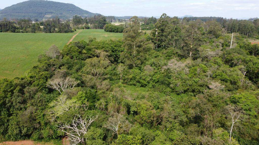 Terreno à venda, 75000m² - Foto 3