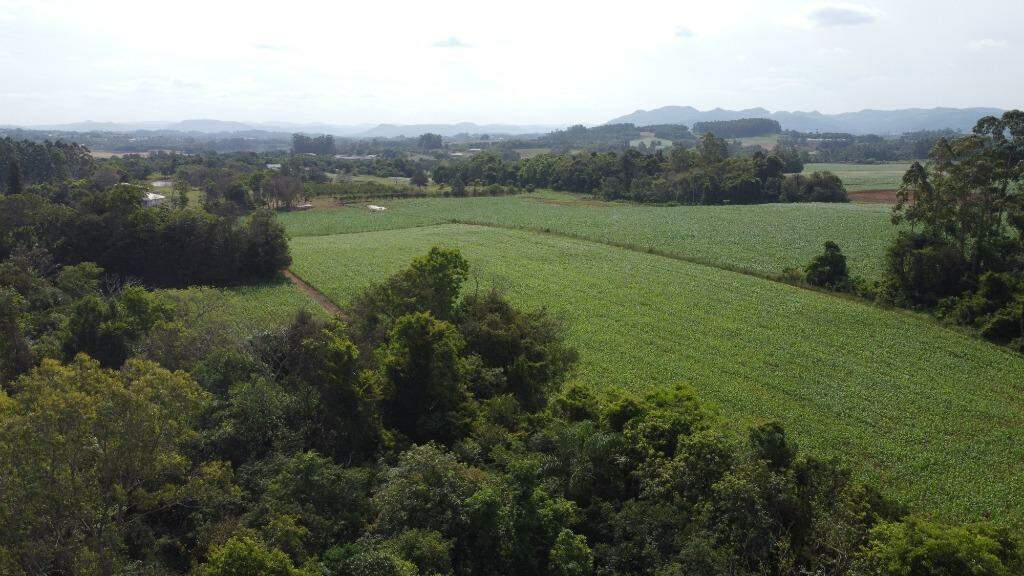 Terreno à venda, 75000m² - Foto 9