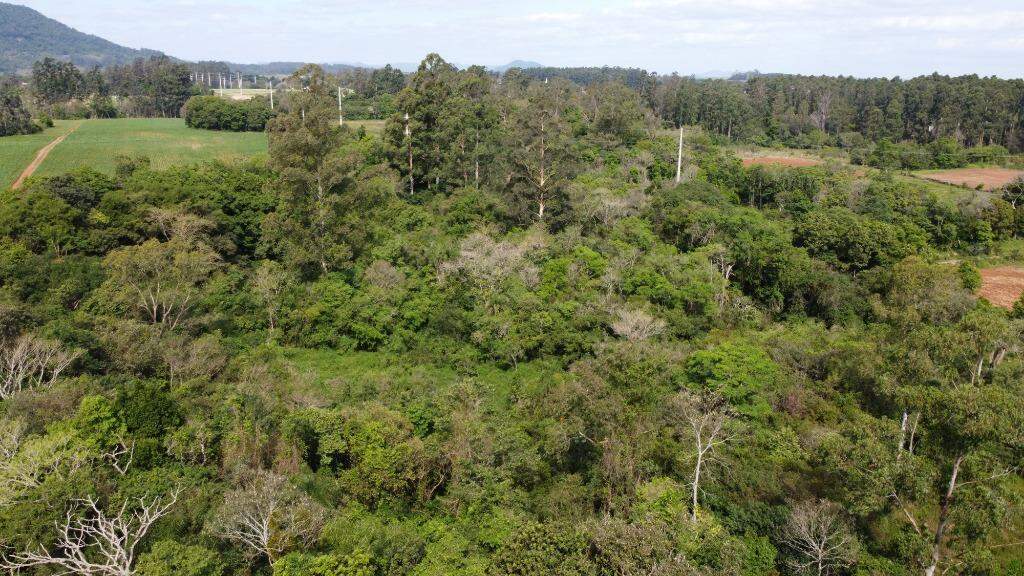 Terreno à venda, 75000m² - Foto 5