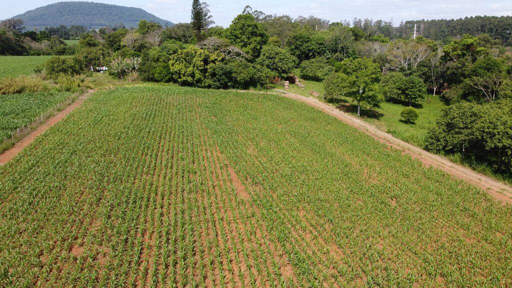 Terreno à venda, 75000m² - Foto 2