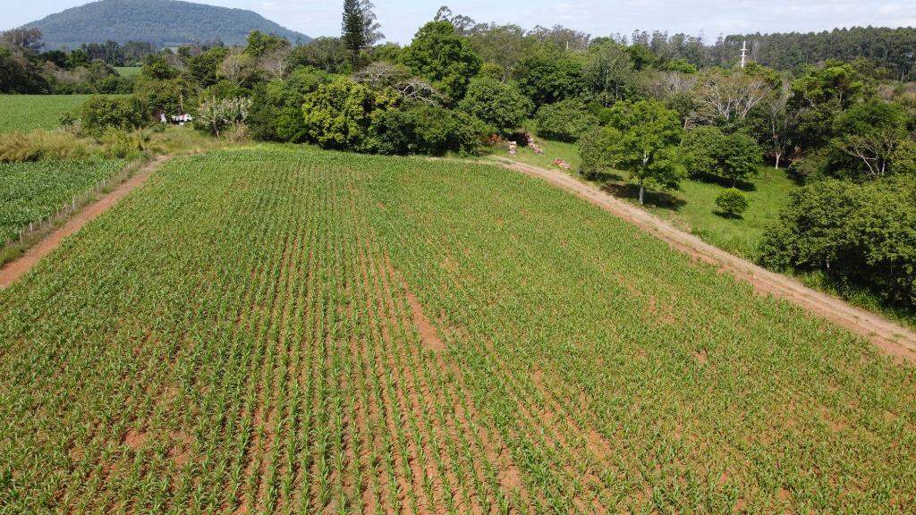 Terreno à venda, 75000m² - Foto 1