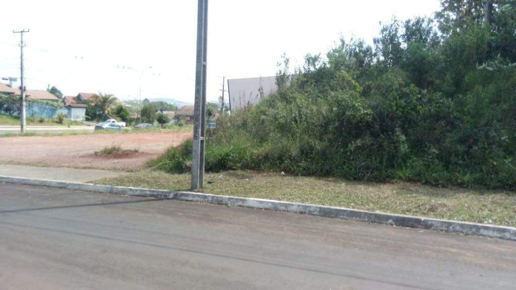 Terreno à venda, 360m² - Foto 4