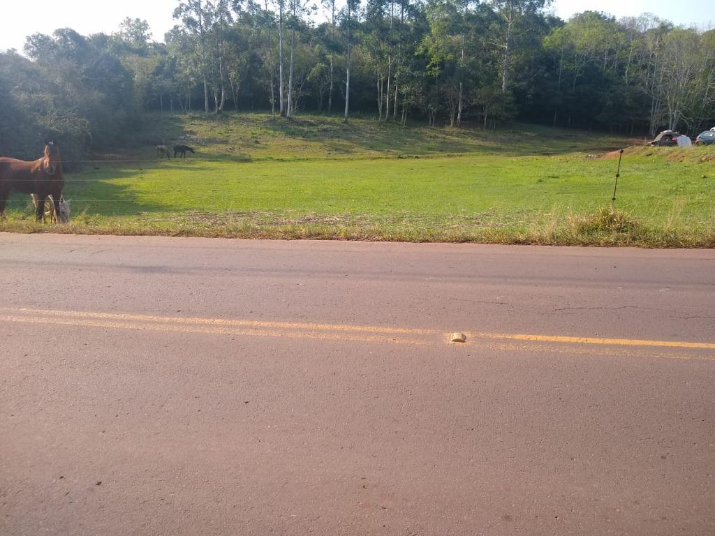 Terreno, 4475 m² - Foto 1