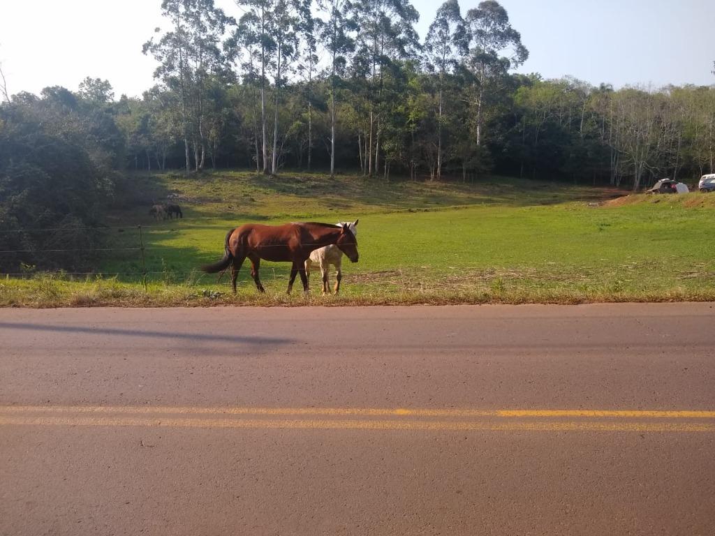 Terreno, 4475 m² - Foto 2