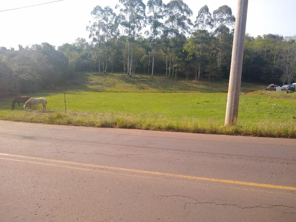 Terreno, 4475 m² - Foto 3