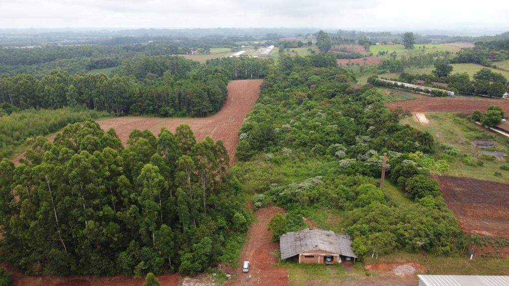 Terreno à venda, 33000m² - Foto 1