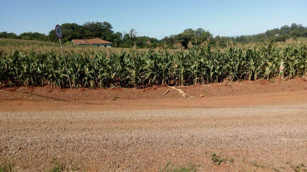 Terreno à venda, 1100m² - Foto 1