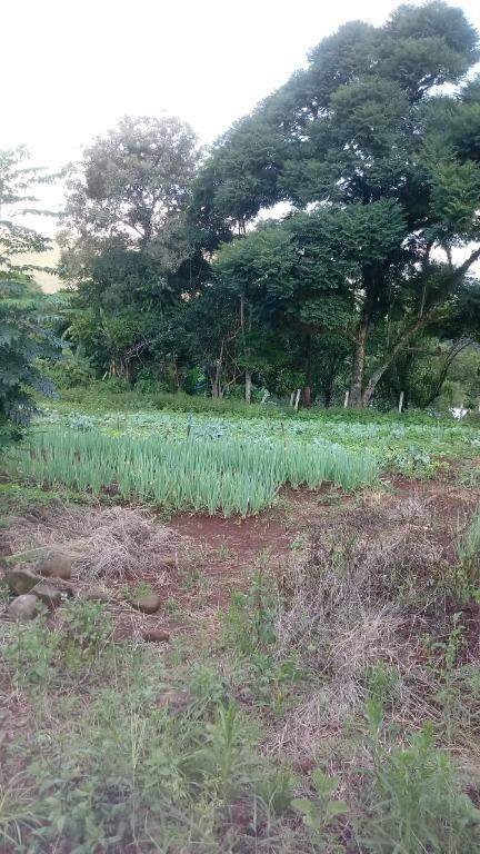 Fazenda à venda com 2 quartos, 231m² - Foto 2