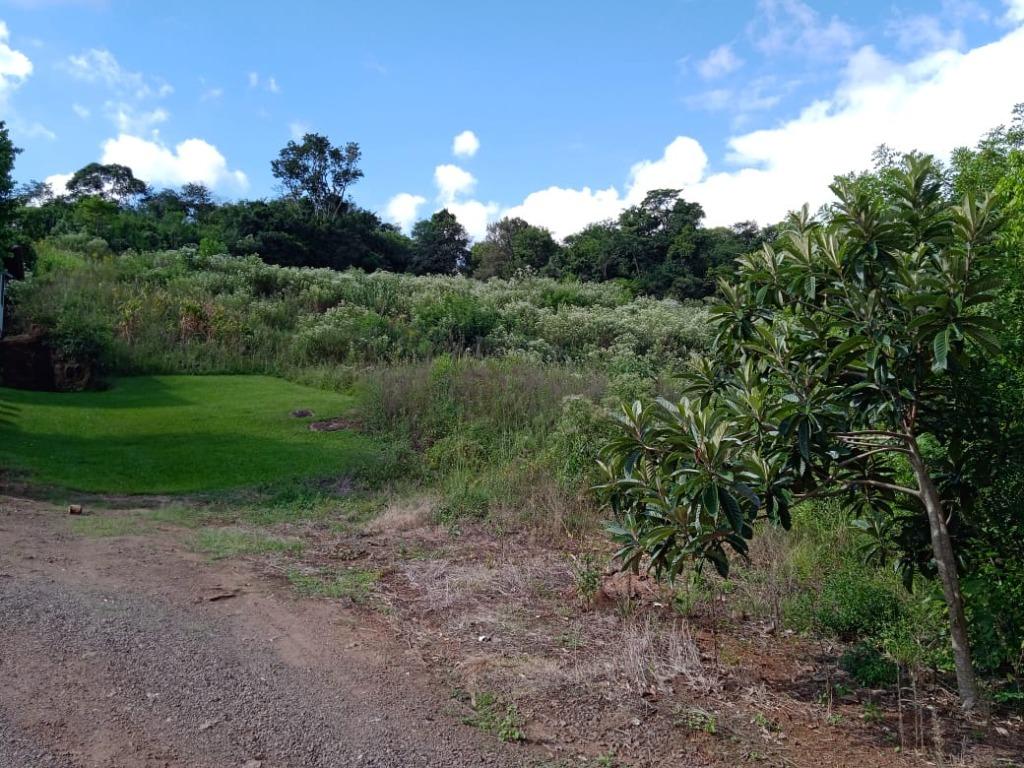 Terreno, 10 hectares - Foto 9