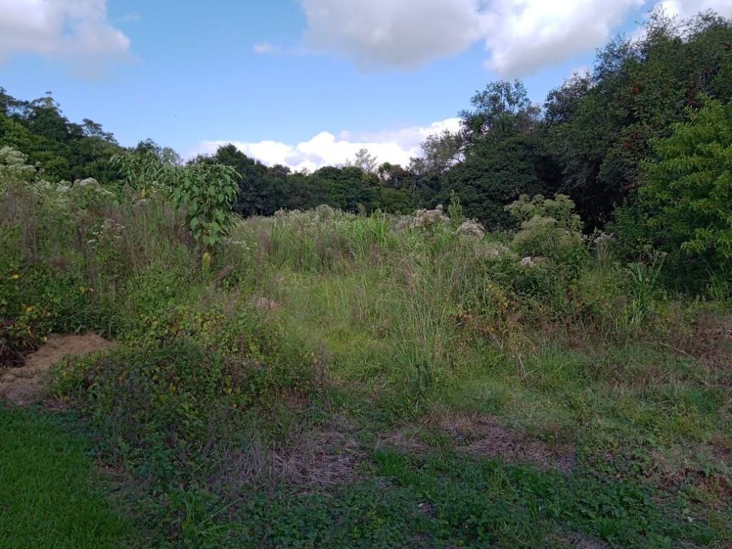 Terreno, 10 hectares - Foto 17