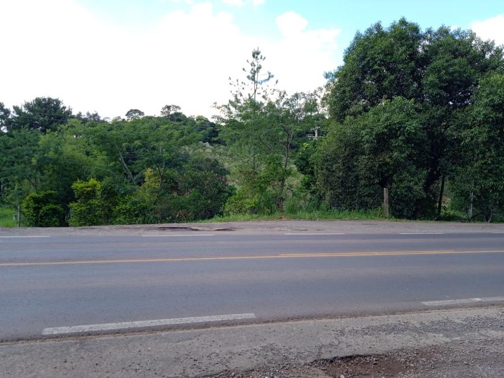 Terreno, 10 hectares - Foto 12