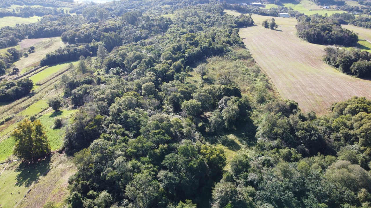 Terreno, 10 hectares - Foto 21