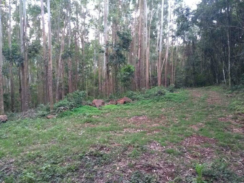 Terreno à venda, 85000m² - Foto 1