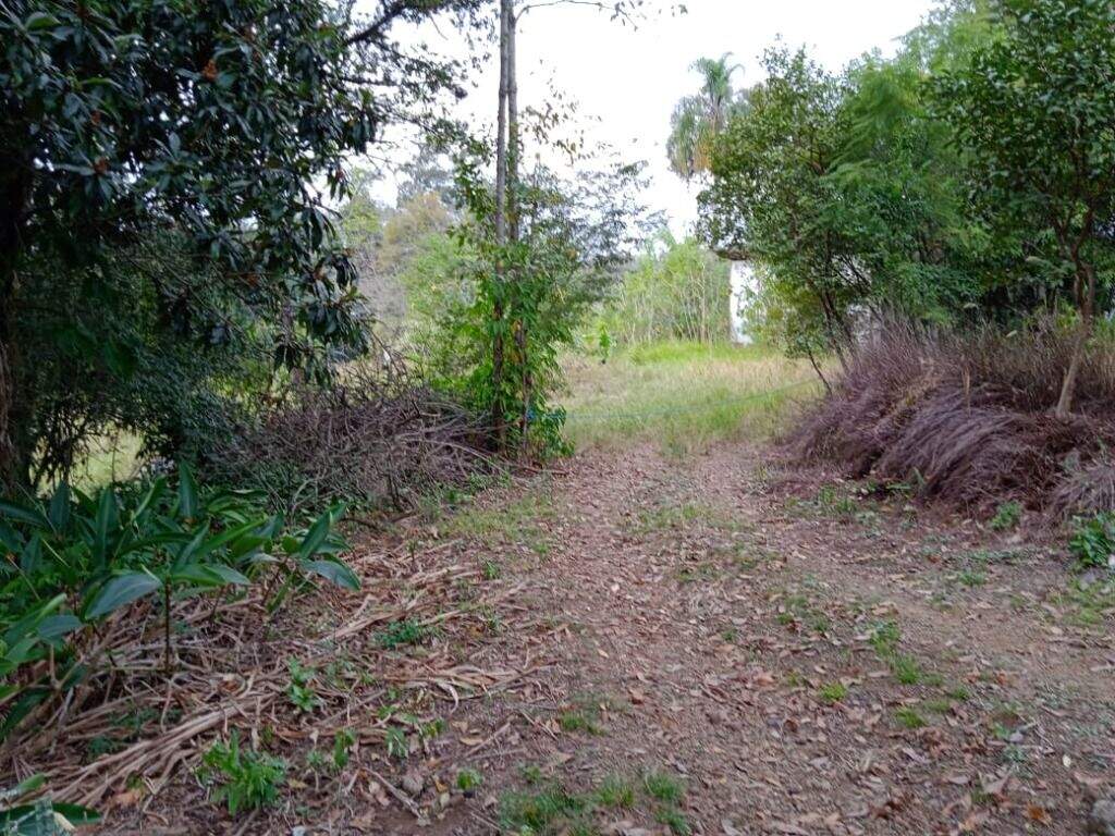 Fazenda à venda com 2 quartos, 16000m² - Foto 14