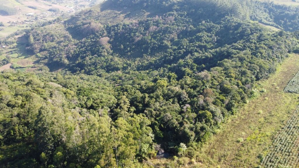 Terreno à venda, 100000m² - Foto 1