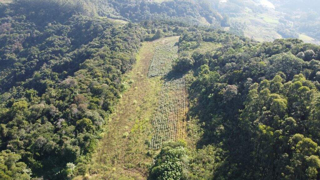 Terreno à venda, 100000m² - Foto 3