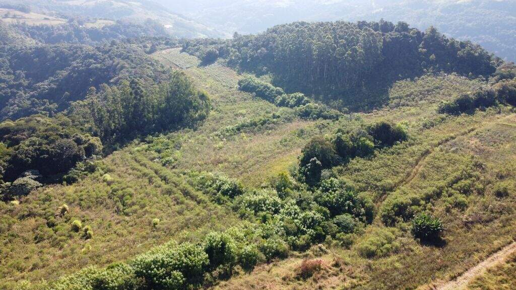 Terreno à venda, 100000m² - Foto 2