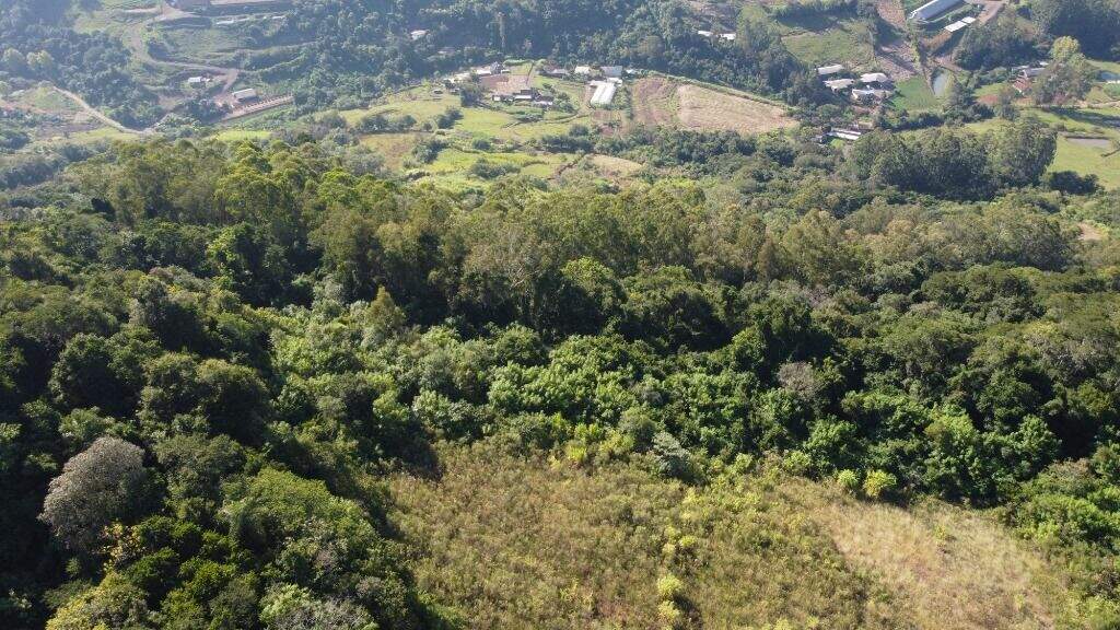 Terreno à venda, 100000m² - Foto 4