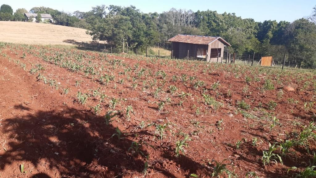 Fazenda à venda com 3 quartos, 80m² - Foto 3