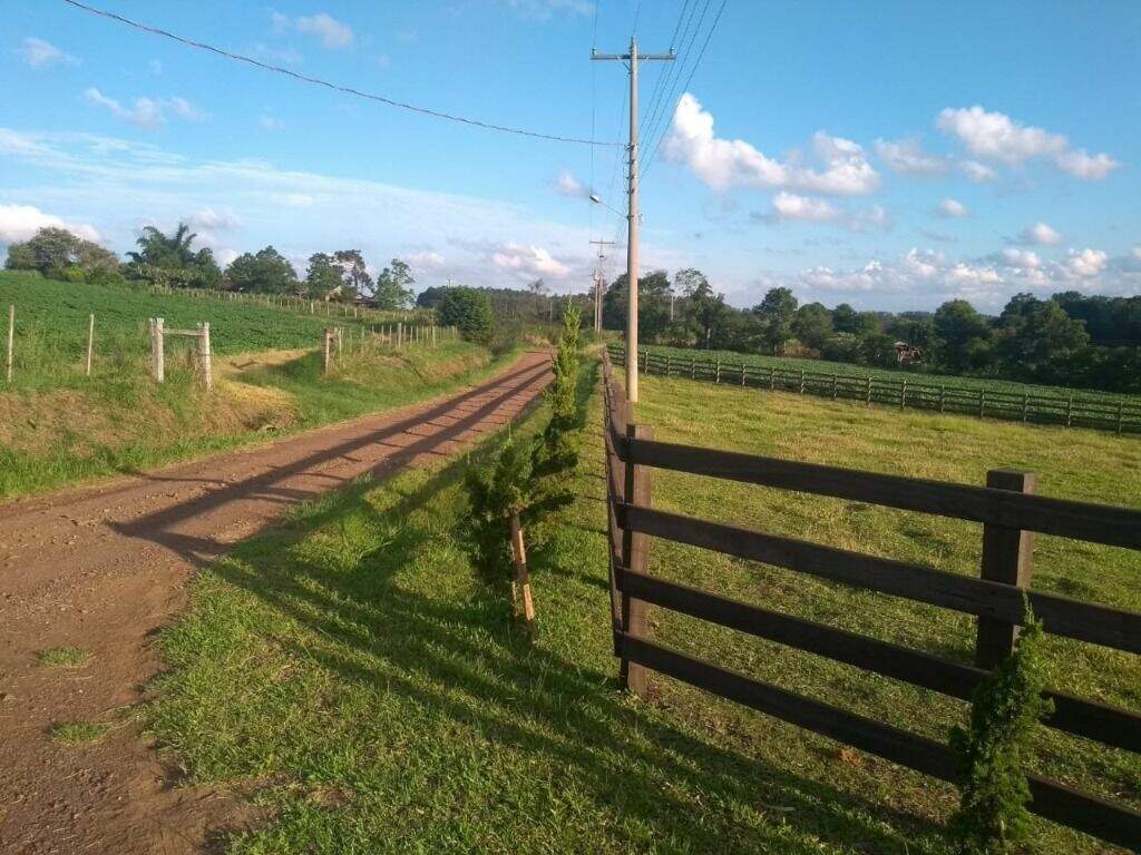 Fazenda à venda com 2 quartos, 5048m² - Foto 4