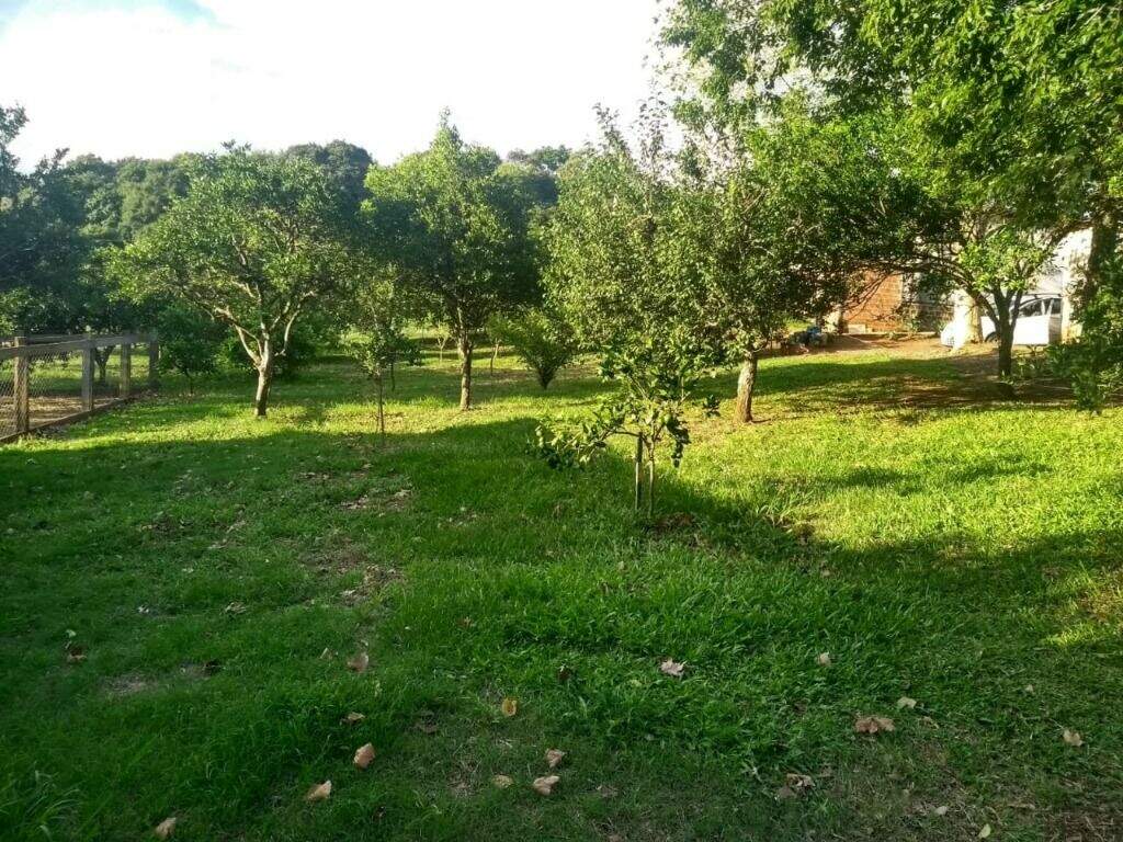 Fazenda à venda com 2 quartos, 5048m² - Foto 16