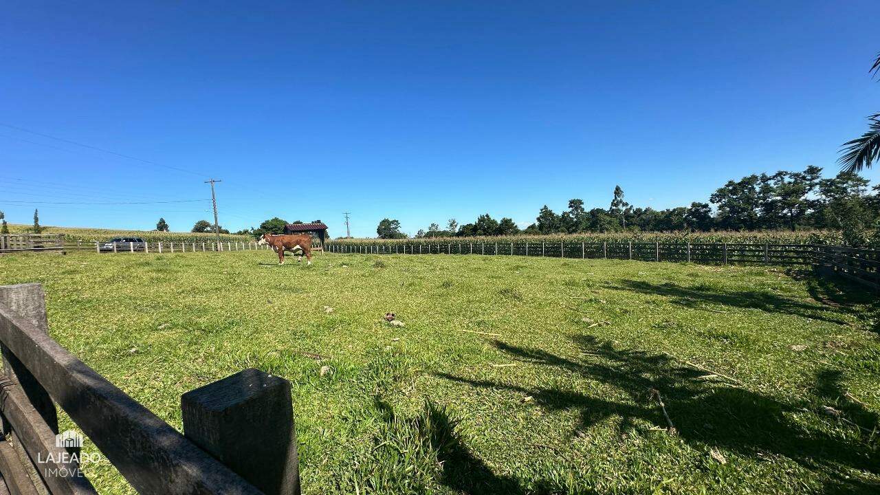 Fazenda à venda com 2 quartos, 5048m² - Foto 8