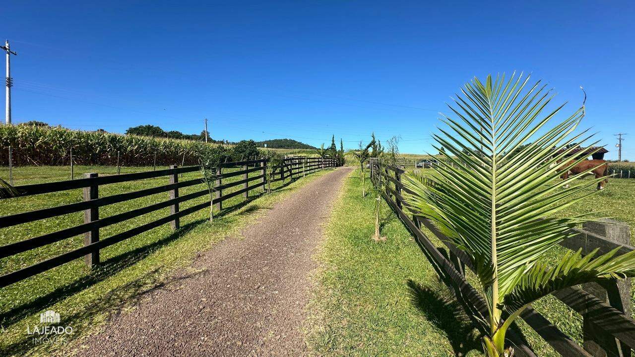 Fazenda à venda com 2 quartos, 5048m² - Foto 12